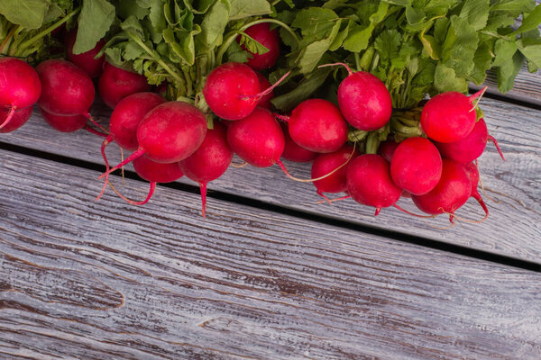 Bunch of little young fresh radishes on white wooden background.