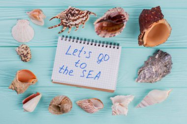 Mavi arka planda farklı şekillerde deniz kabukları ve defter..