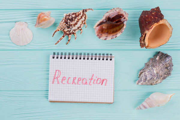 Красочные морские раковины различных форм и размеров и блокнот в центре композиции
.