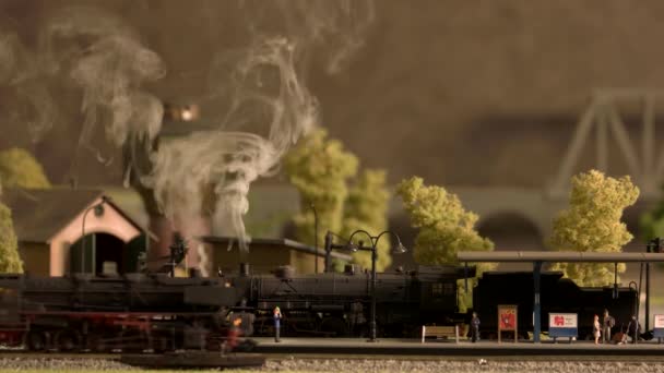 Model lokomotywy parowej przewozi ładunek. — Wideo stockowe