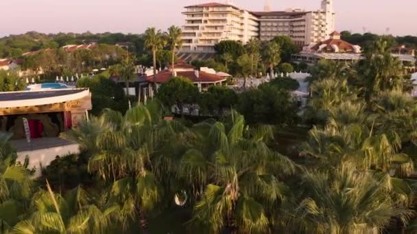 Palmy na pozadí letoviska hotel na krůtí. — Stock video