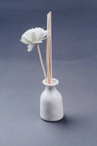Spa flor em um vaso branco no fundo cinza . — Fotografia de Stock