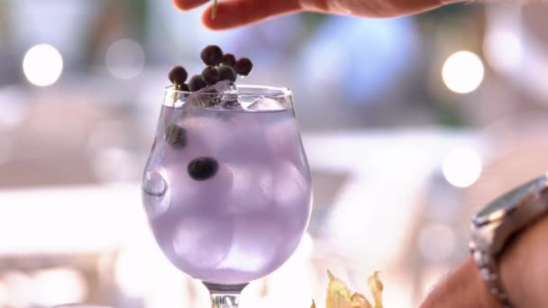 グラスにお酒のカクテルを花で飾るバーテンダー。. — ストック動画