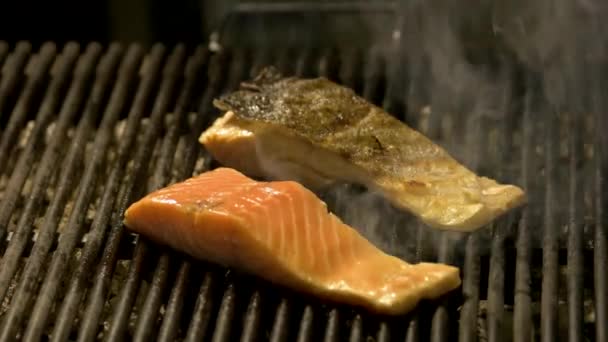 Salmon fillets on the grill in smoke. — Stock Video