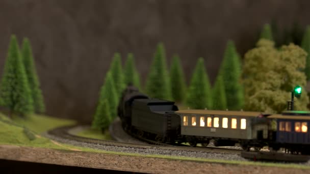 Een modeltrein die langs sporen in de open lucht in het bos rijdt. — Stockvideo