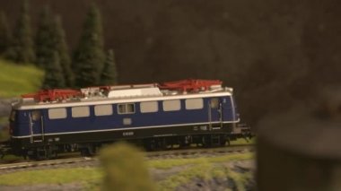 Oyuncak dizel tren lokomotifi ormanda ilerliyor..