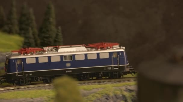 Toy diesel locomotiva ferroviária movendo-se através da floresta . — Vídeo de Stock