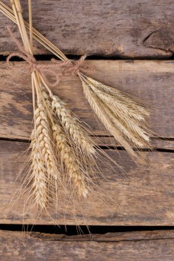 Buğday ve arpa kulakları, üst manzara..