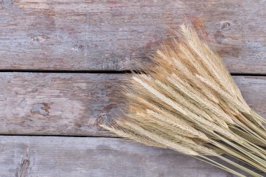 Buğday yaprağı kulaklar, üst manzara..