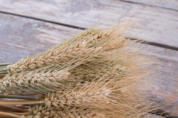 Close up van tarweoren op houten ondergrond. — Stockfoto