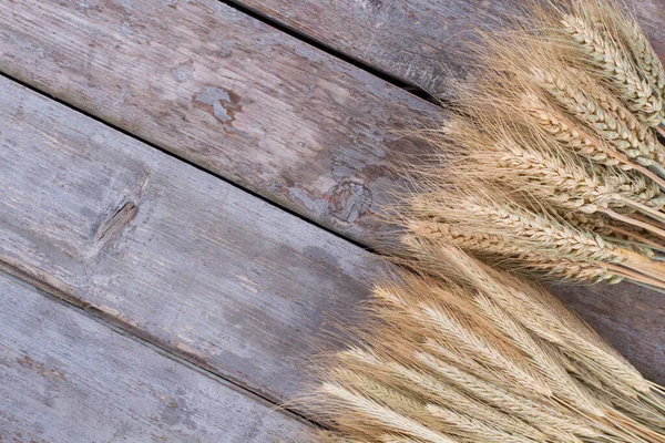 Ears of wheat on rustic wooden background.