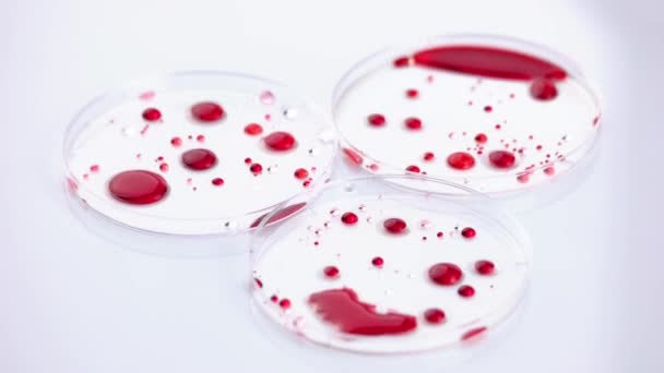 Muestras de sangre en laboratorio médico. — Vídeos de Stock