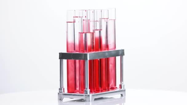 Test tubes with blood samples in holder. — Stock Video