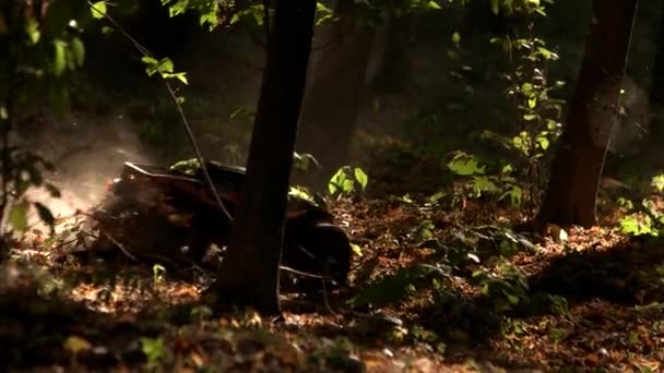 Игрушечная машинка едет по бездорожью в лесу. — стоковое видео