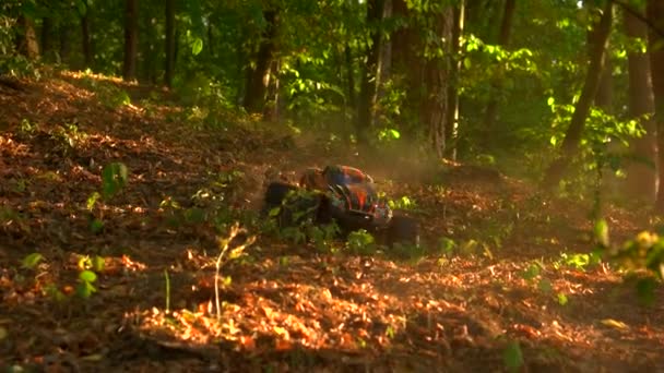Monster truck rc auto jezdí přes sušené podzimní listí. — Stock video
