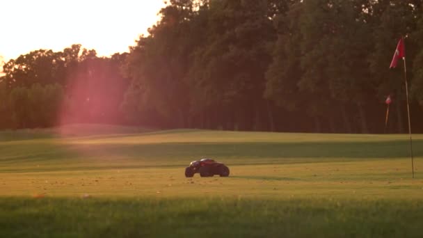 RC car rides on a green golf field. — Stock Video