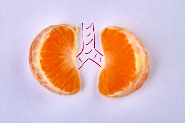 Mandarin slice as lungs. — Stock Photo, Image