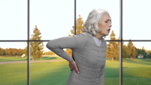 Mulher descontente sofre de dor lombar. — Vídeo de Stock