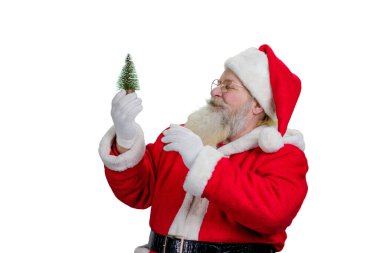 Noel Baba kucağında küçük bir Noel ağacı.