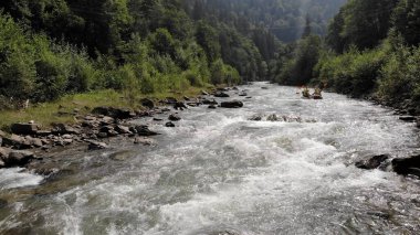 Köpüklü bir dağ deresi.