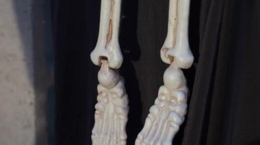 Kızıl saçlı, turuncu gözlü ve mor dişli bir iskelet palyaçosunun Cadılar Bayramı dekorasyonu. Aksesuar benekli bir kostüm giyiyor ve alacakaranlıkta banço tutuyor..