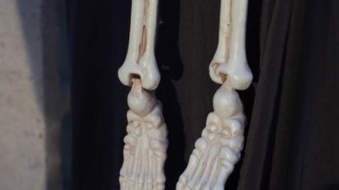 Kızıl saçlı, turuncu gözlü ve mor dişli bir iskelet palyaçosunun Cadılar Bayramı dekorasyonu. Aksesuar benekli bir kostüm giyiyor ve alacakaranlıkta banço tutuyor..