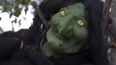 Uzun burunlu, sarı gözlü ve siyah saçlı ürkütücü yeşil yüzlü cadılar bayramı cadı süslemesinin yakın çekimi. Ürkütücü bir animatronik donanımın sonbahar akşam ışığında ürkütücü bahçe portresi..