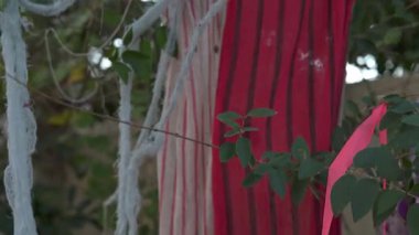 Sarkık gözlü, turuncu burunlu ve sarı saçlı, ürkütücü bir palyaço Cadılar Bayramı süslemesi. Yıpranmış gazlı bez ve iskelet bir el bir banliyö bahçesinde ağaç dalları arasında belirir..