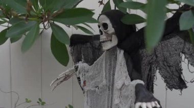 Kapüşonlu bir iskelet ölüm meleği beyaz bir çitin yanında asılı duruyor. Parçalanmış siyah gazlı bez ve kemikli eller bahçede ürkütücü bir Cadılar Bayramı süsü oluşturur..