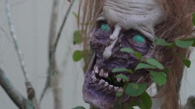 Çürümüş mor derili, yeşil gözlü ve yaprakların arasındaki kırık dişli korkunç zombi kafasının yakın çekimi. Ürkütücü Cadılar Bayramı dış dekorasyonu bahçede ürkütücü bir korku ortamı yaratıyor..