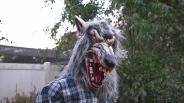Keskin dişleri, gri kürkü ve hırıldayan ağzı olan korkunç bir kurt adam maskesinin yakın çekimi. Cadılar Bayramı kostümü yeşil çalılar ve çitlerle dolu bir bahçede..