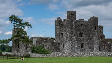 Meath, İrlanda 'daki eski bir manastırın önündeki çimlerin üzerinde dinlenen köpekli bir adam.