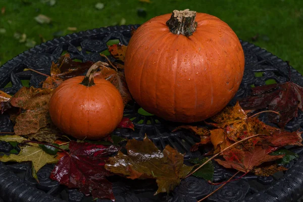 Citrouilles sur la table de jardin, préparation de fête d'Halloween — Photo