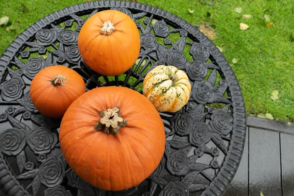 Préparation Pour Halloween Citrouilles Sur Table Avec Des Feuilles Humides — Photo