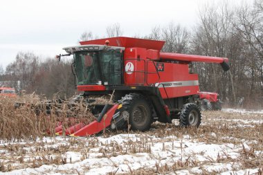 Hasatçı kışın karda mısır toplar.