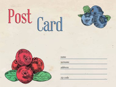 çilek Bahçe kartpostal. Zarf ve kızılcık ve yaban mersini örnek şablon tasarımı