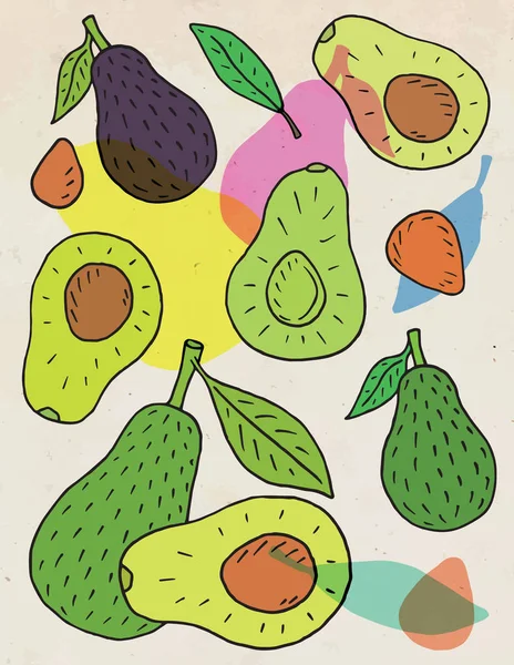 Süße Saftige Avocado Sommer Exotisches Essen Schöne Handgezeichnete Illustration Von — Stockvektor