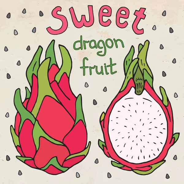Doce Fruta Dragão Suculenta Comida Exótica Verão Bela Mão Desenhada — Vetor de Stock