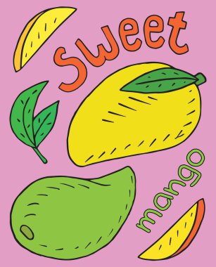 Tatlı sulu avokado. Yaz egzotik yiyecek. Güzel el çizimi meyve çekilmiş