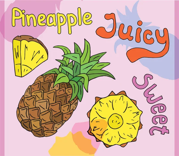 多汁的菠萝 夏日异国情调的食物 美丽的手画的果子例证 — 图库矢量图片