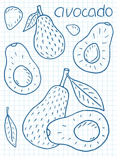 Süße Saftige Avocado Sommer Exotisches Essen Schöne Handgezeichnete Illustration Von — Stockvektor