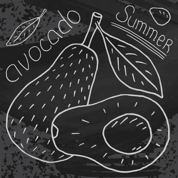 Sweet Juicy Avocado Summer Exotic Food Beautiful Hand Drawn Illustration — Stock Vector