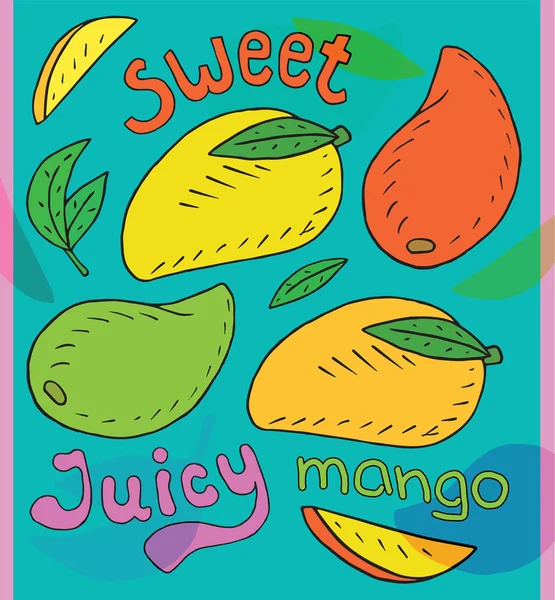 Sweet Juicy Mango Summer Exotic Food Beautiful Hand Drawn Illustration — Stock Vector