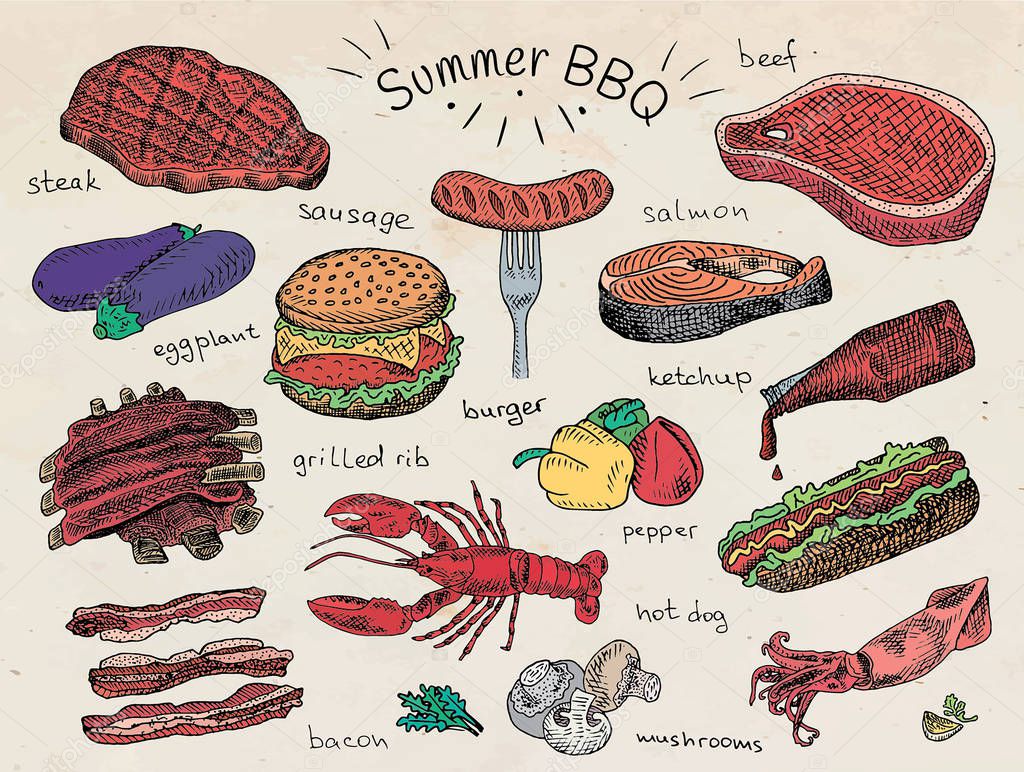beautiful illustration summer bbq food, ribs, sausage, beef, steak, eggplant, burger, bacon, vegetables, herbs, mushroom, hot dog, lobster, calamari, squid, ketchup, salmon, pepper