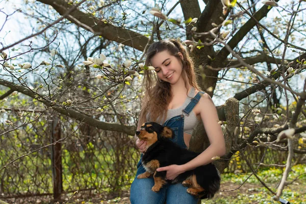 Bahar Bahçesinde Köpeği Olan Genç Bir Kız — Stok fotoğraf