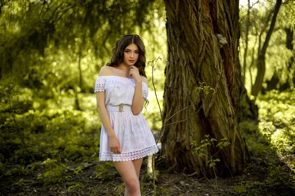 드레스를 매력적 여자가 근처에 포즈를 취하고 있습니다 여름날입니다 숲에서 자연을 — 스톡 사진