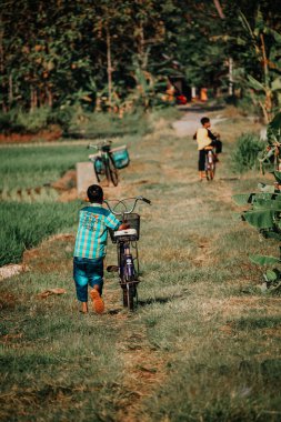 Bisikletini pirinç tarlasının ortasında iten bir çocuk.