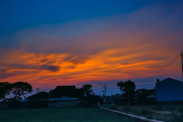 Sonnenuntergang Auf Den Reisfeldern — Stockfoto