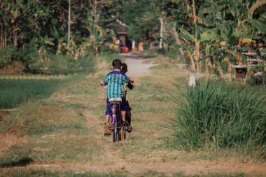 Pirinç tarlasının ortasında bicyle oynuyorum.