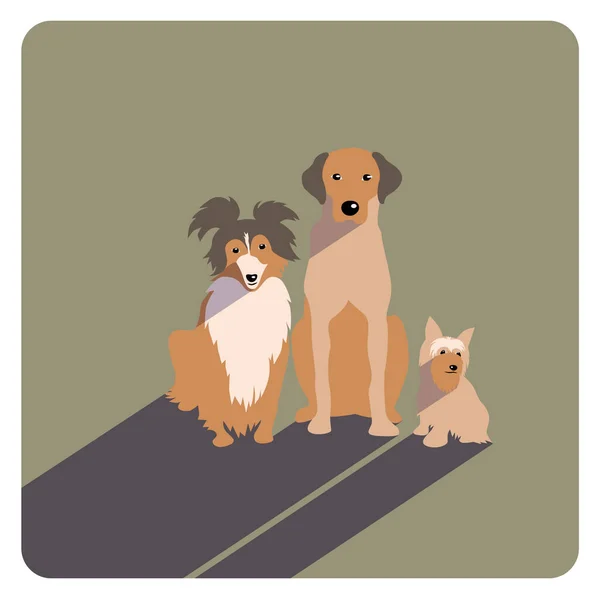 Drei Verschiedene Hunde Vektorflache Illustration — Stockvektor